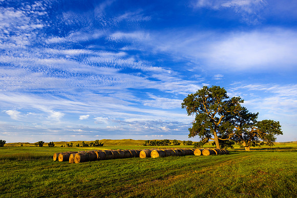 Sandhills Serenity
