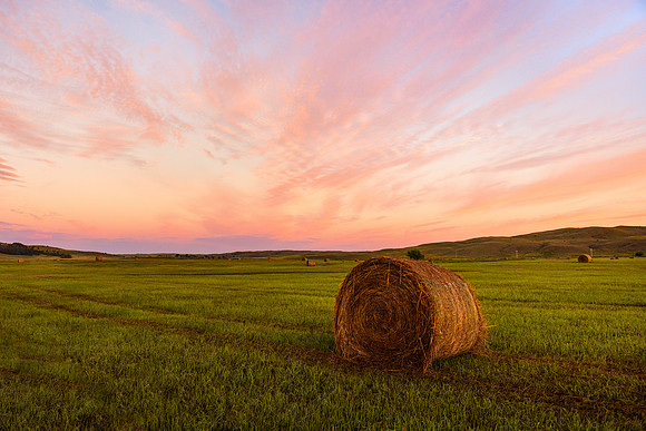 Solitude and a Smell of Fresh Cut Grass