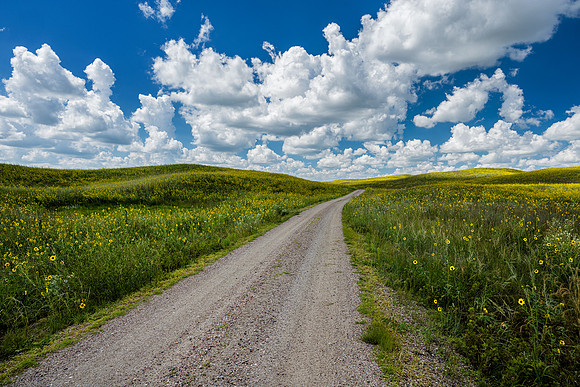 Road to Nowhere