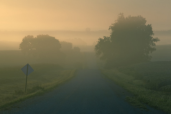 Foggy Morn