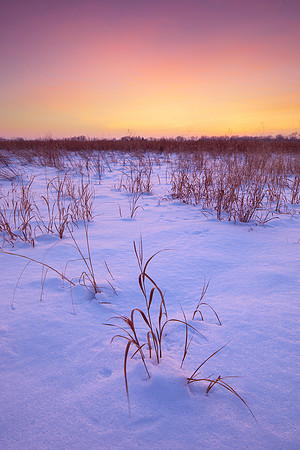 A Prairie Winter Sunset - Nebraska Photography