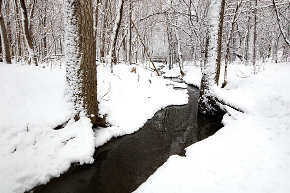 Bright Winterscape - Nebraska Photography