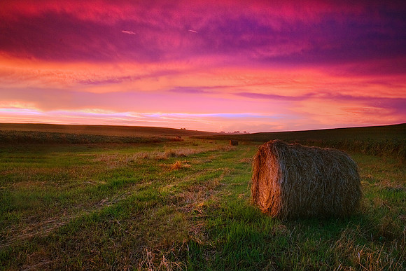 After the Storm II